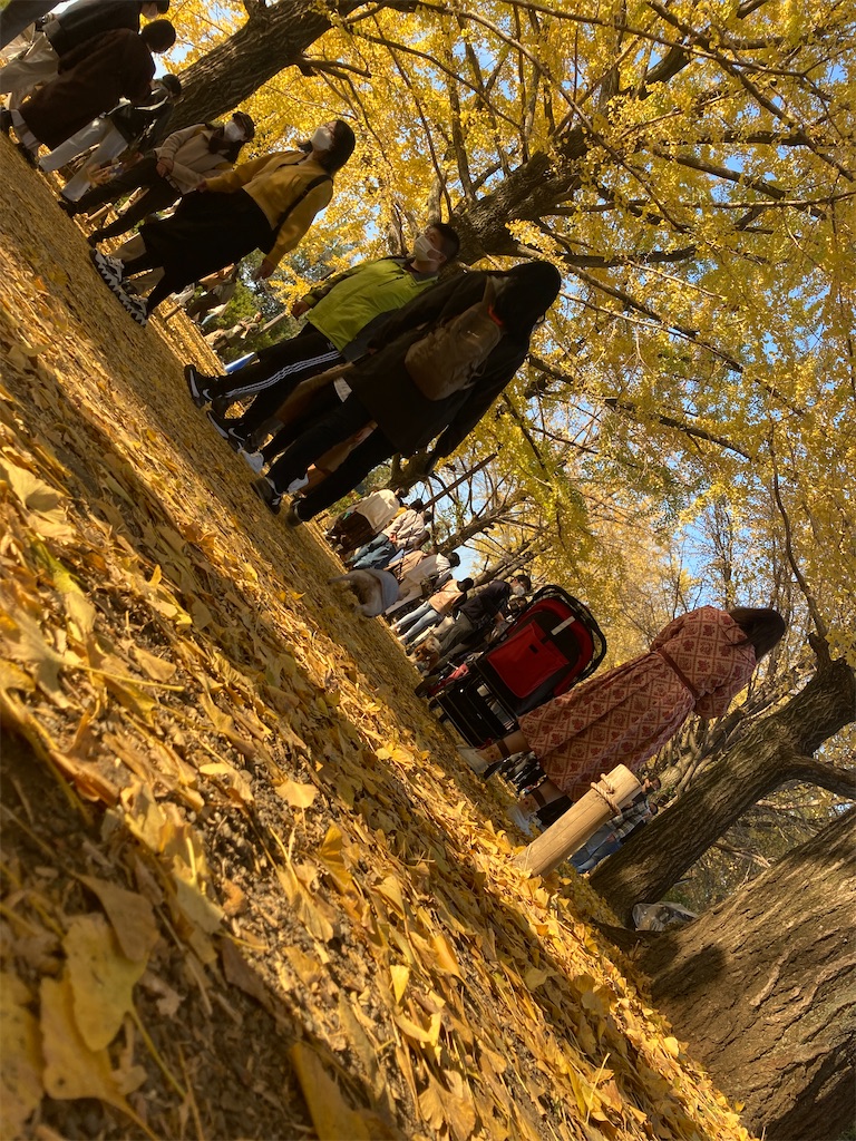 f:id:hatomunebba:20230124022347j:image f:id:hatomunebba:20230124022347j:image