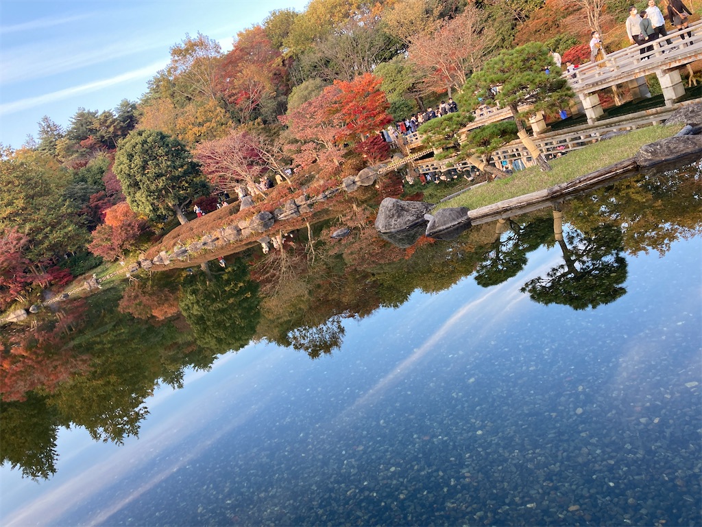 f:id:hatomunebba:20230124022408j:image f:id:hatomunebba:20230124022408j:image