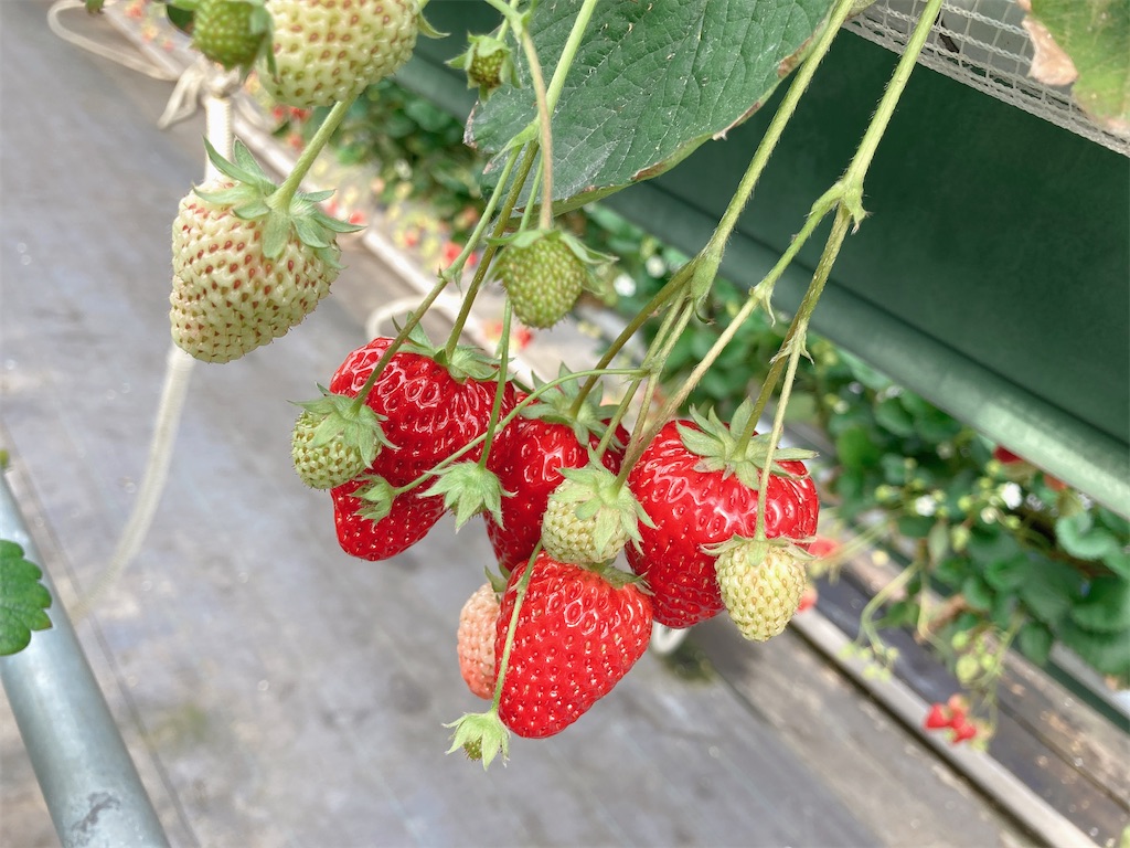 f:id:hatomunebba:20230725002307j:image f:id:hatomunebba:20230725002307j:image