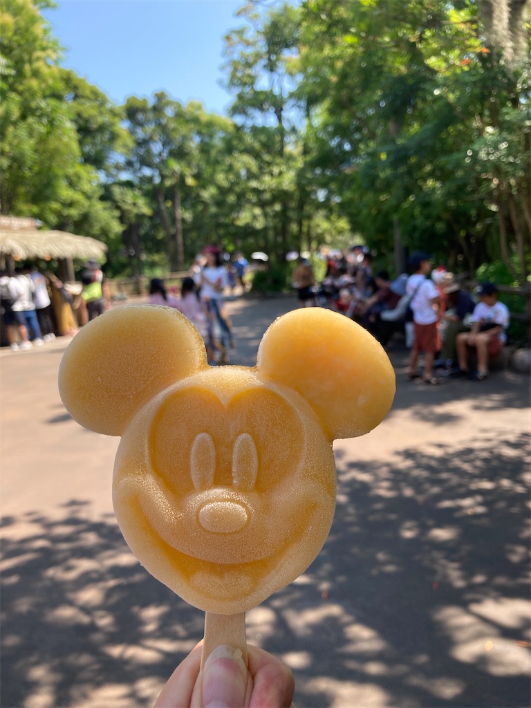 f:id:hatomunebba:20230919004043j:image f:id:hatomunebba:20230919004043j:image