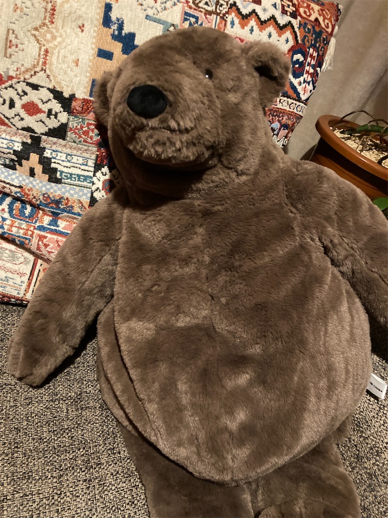 f:id:hatomunebba:20240114195716j:image