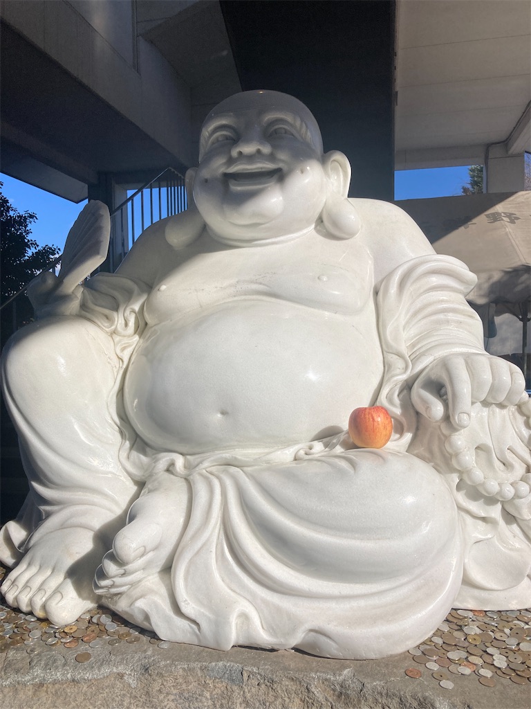 f:id:hatomunebba:20240115003542j:image f:id:hatomunebba:20240115003542j:image