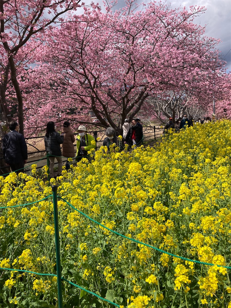 f:id:hatomunebba:20250417225142j:image f:id:hatomunebba:20250417225142j:image