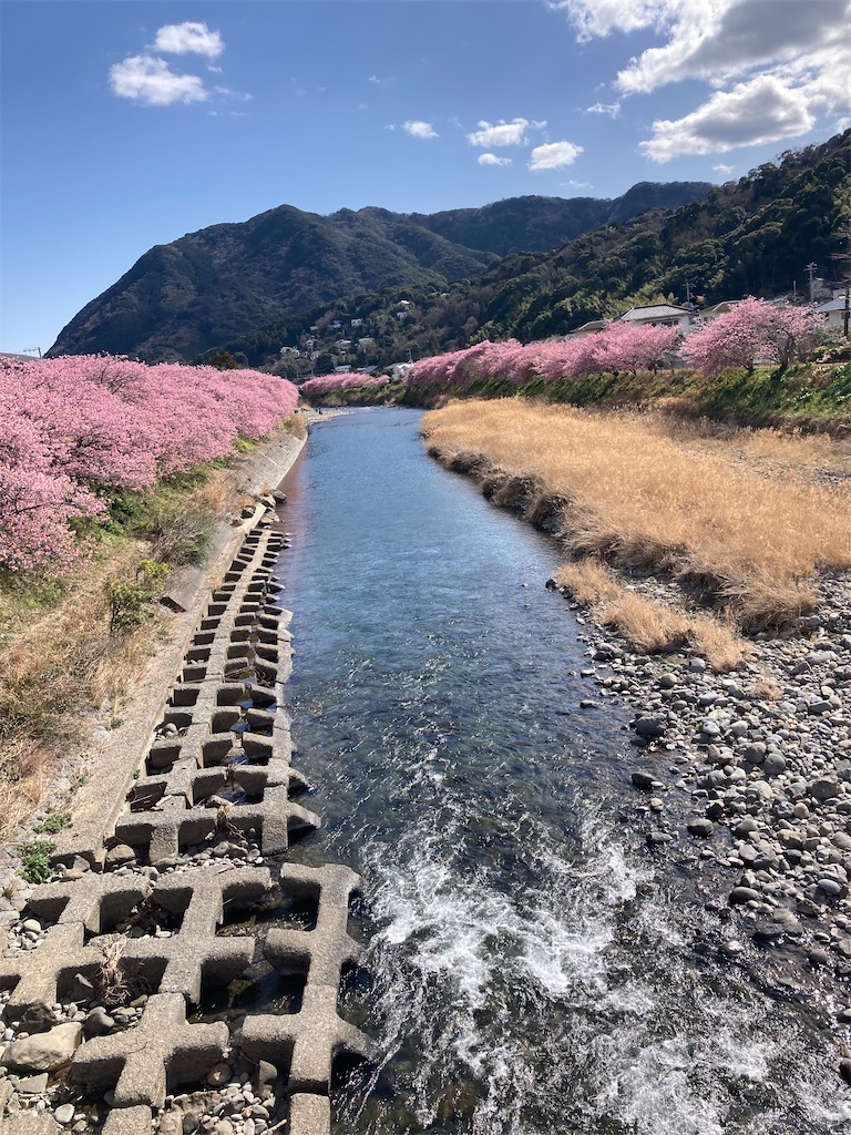 f:id:hatomunebba:20250417225201j:image f:id:hatomunebba:20250417225201j:image