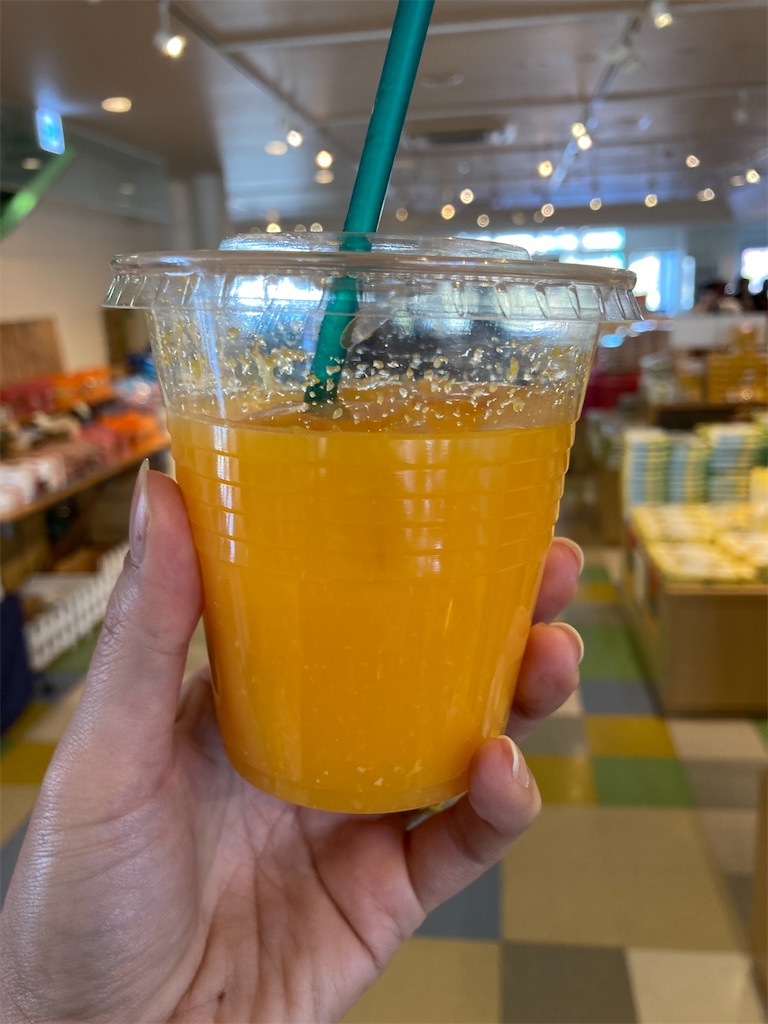 f:id:hatomunebba:20250417225212j:image f:id:hatomunebba:20250417225212j:image