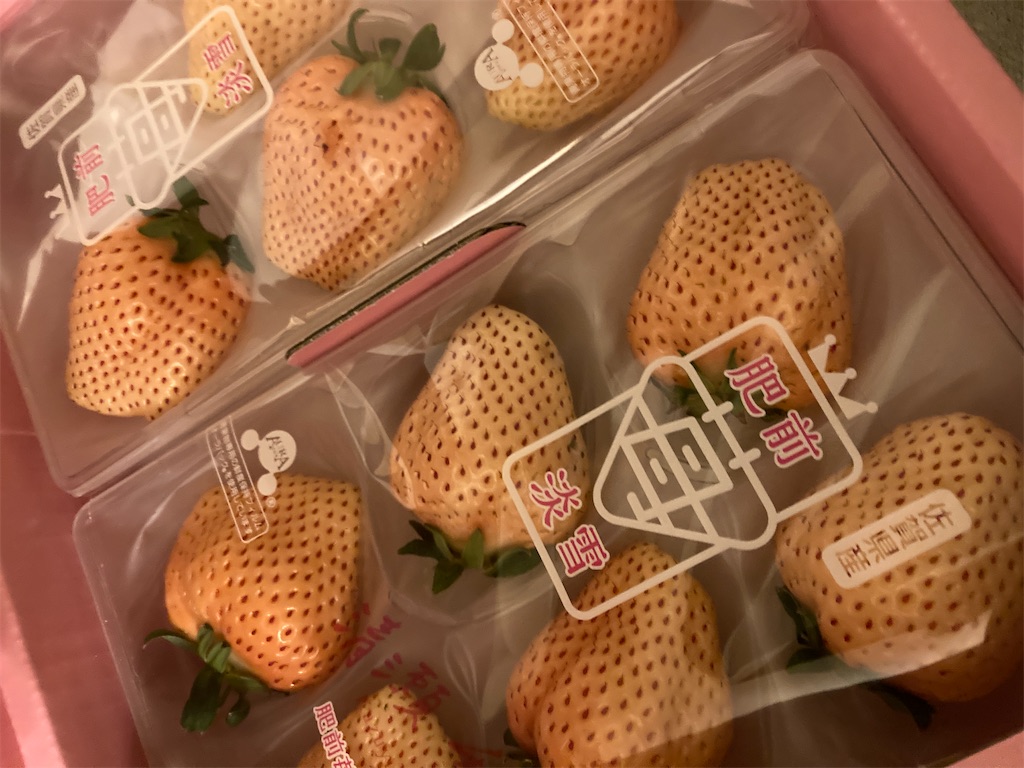 f:id:hatomunebba:20250417225317j:image f:id:hatomunebba:20250417225317j:image