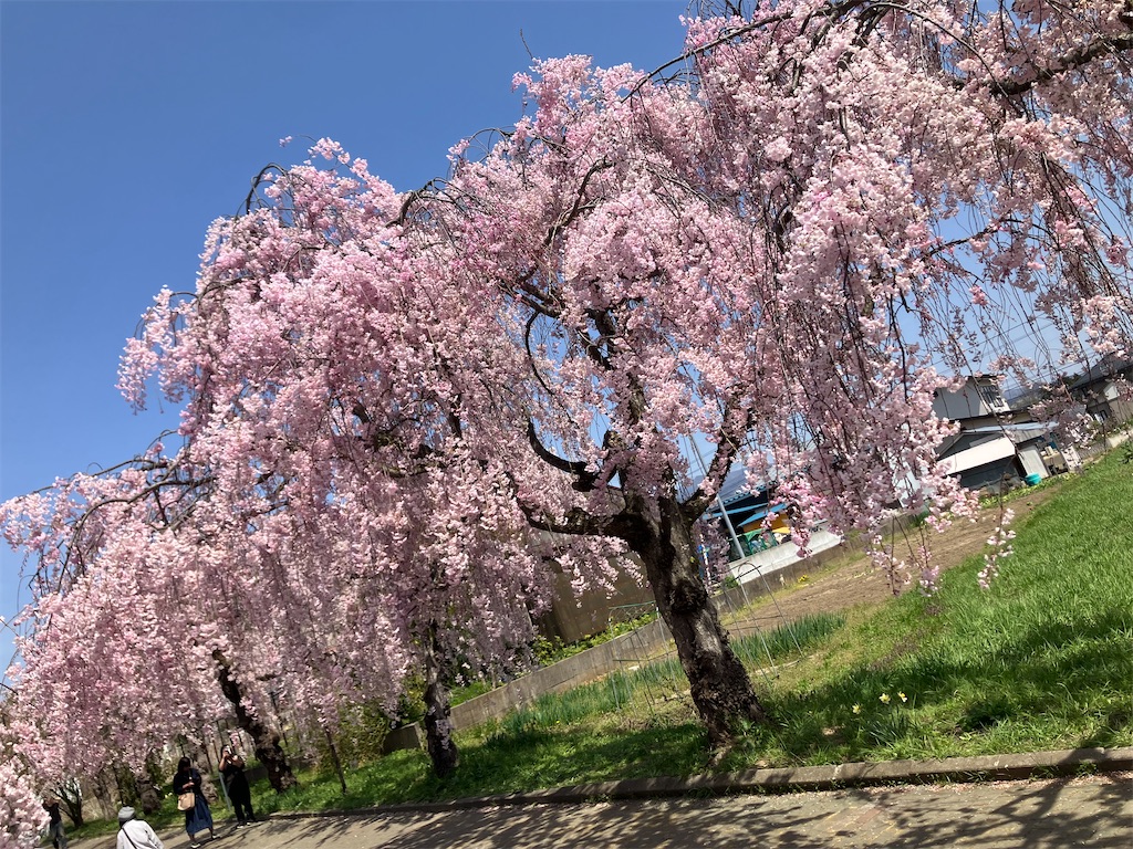 f:id:hatomunebba:20260425002301j:image