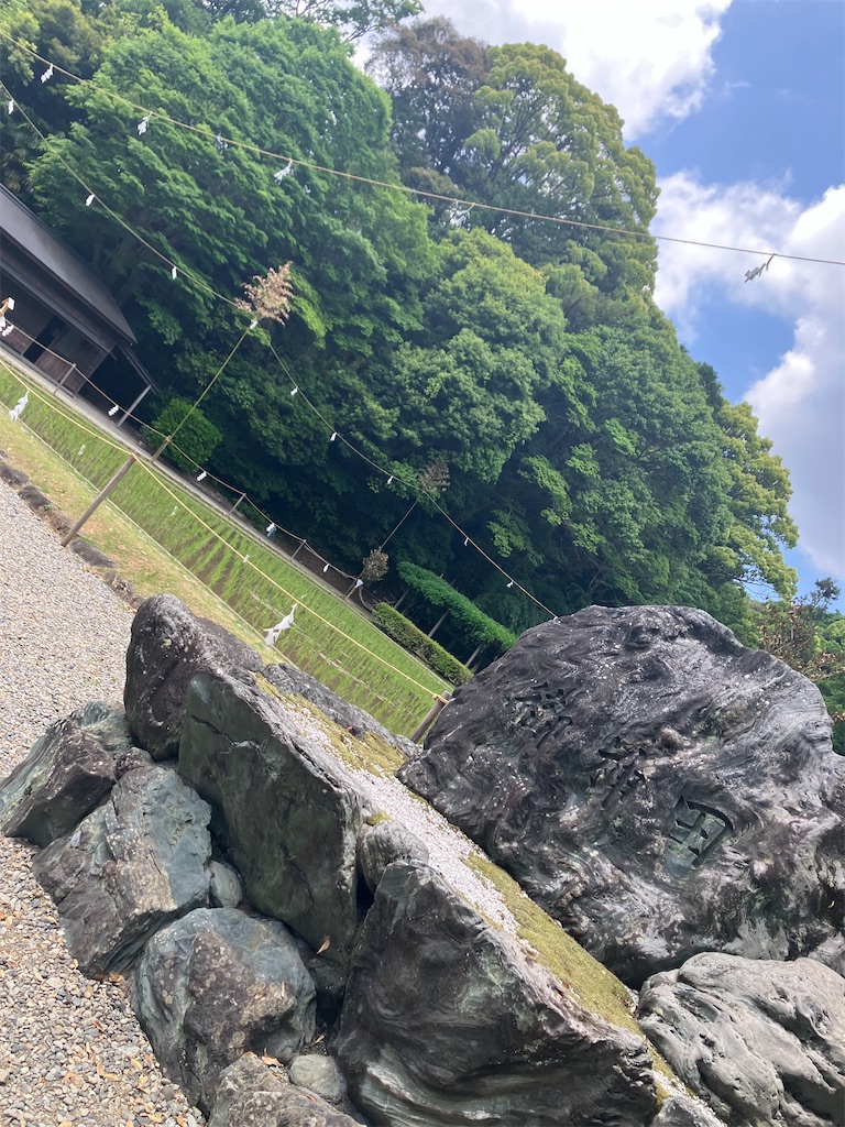 f:id:hatomunebba:20260517012913j:image