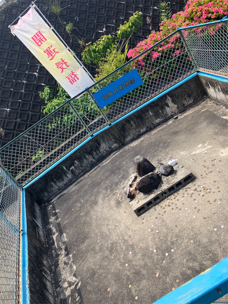 f:id:hatomunebba:20260517013132j:image