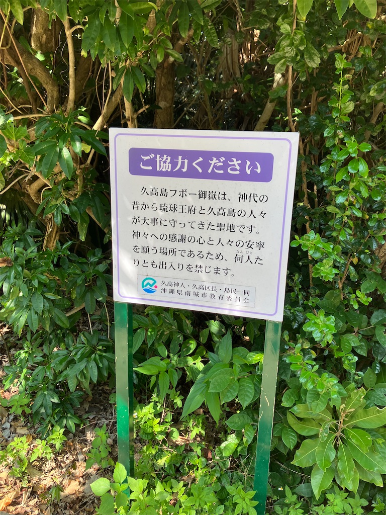 f:id:hatomunebba:20260517015137j:image