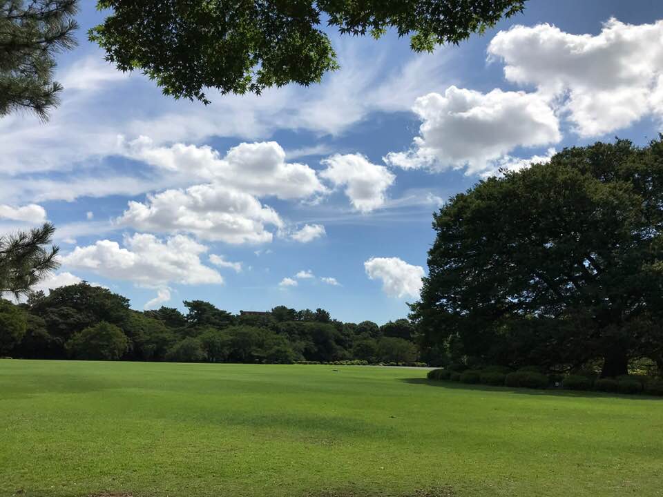 f:id:hatomuraian:20180825202432j:plain f:id:hatomuraian:20180825202432j:plain
