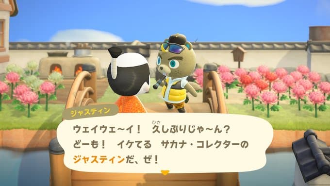 f:id:hatomurasan:20201020212751j:plain f:id:hatomurasan:20201020212751j:plain