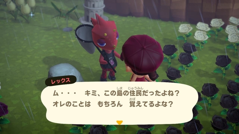 f:id:hatomurasan:20201020212824j:plain f:id:hatomurasan:20201020212824j:plain