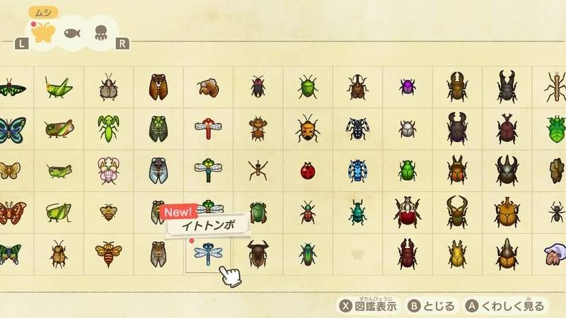 f:id:hatomurasan:20201108153047j:plain f:id:hatomurasan:20201108153047j:plain