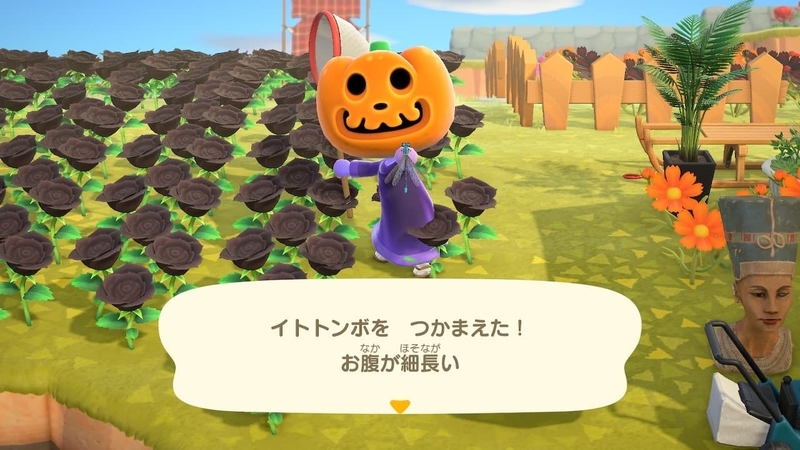 f:id:hatomurasan:20201108153052j:plain f:id:hatomurasan:20201108153052j:plain