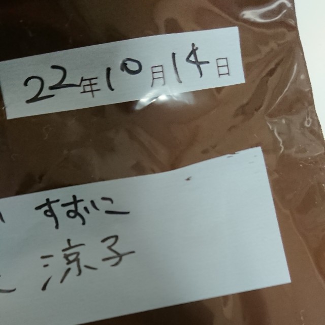 f:id:hatonyan:20221015110628j:image