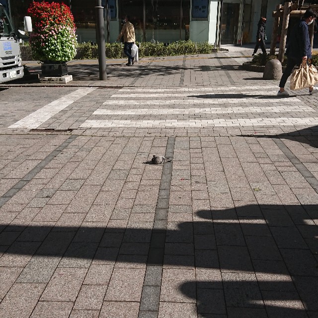 f:id:hatonyan:20221028091212j:image