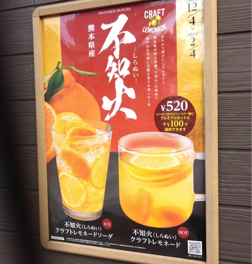 f:id:hatonyan:20250124194915j:image