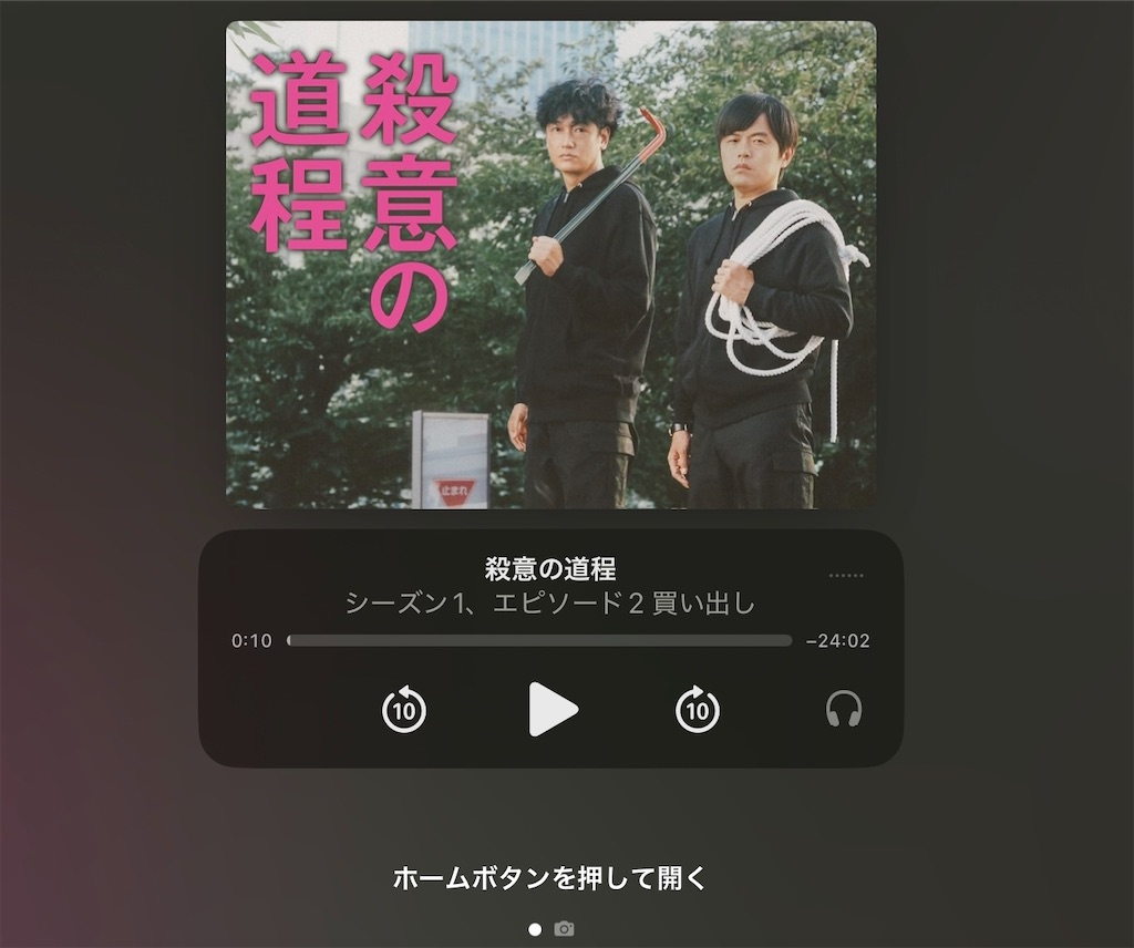 f:id:hatonyan:20250204193931j:image