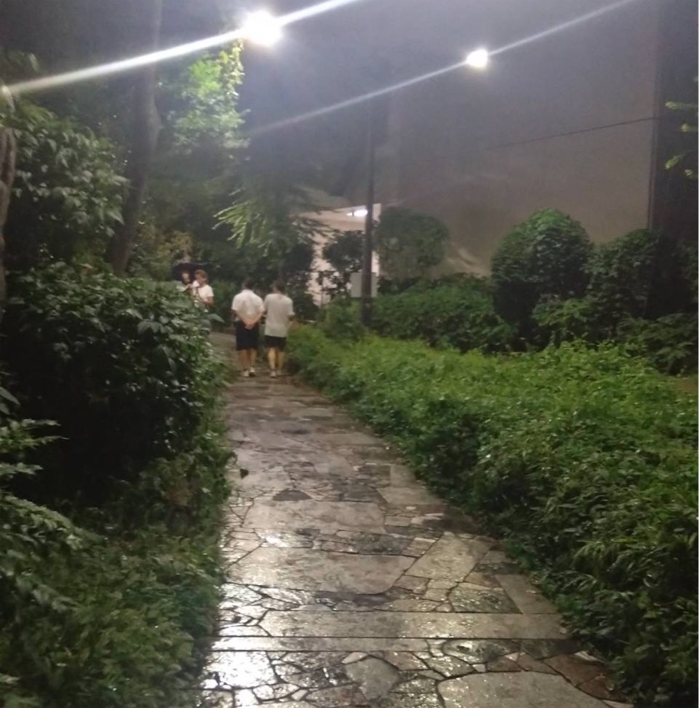 f:id:hatonyan:20250927081617j:image