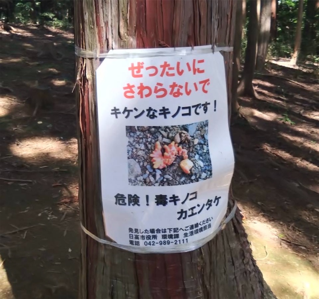 f:id:hatonyan:20251025155434j:image