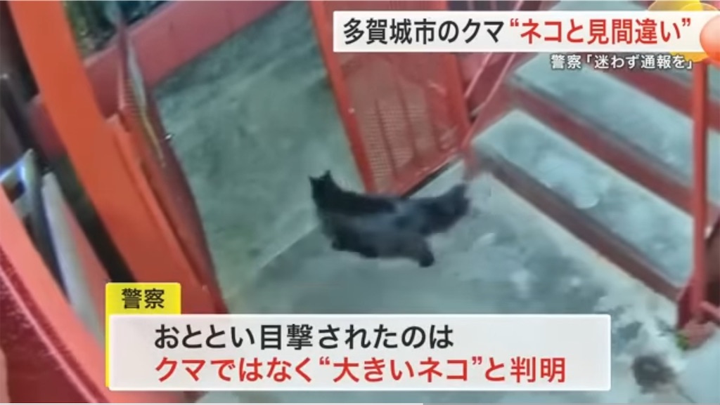 f:id:hatonyan:20251109203454j:image