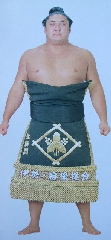 f:id:hatosarueru:20210514123209j:plain