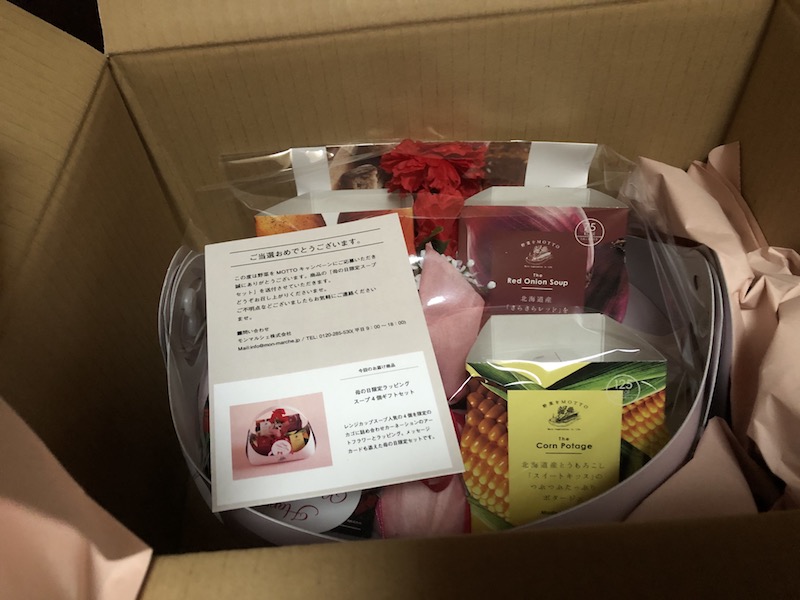 f:id:hatsuharupon:20210413181051j:plain