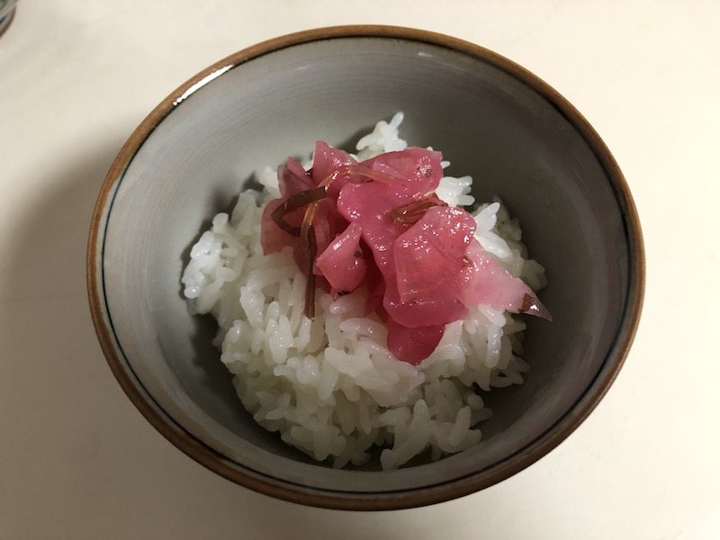 f:id:hatsuharupon:20210427223835j:plain