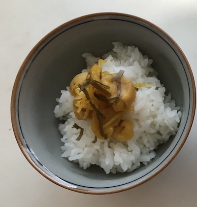 f:id:hatsuharupon:20210427233735j:plain