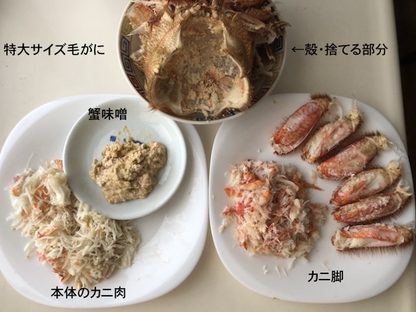 f:id:hatsuharupon:20210610232020j:plain