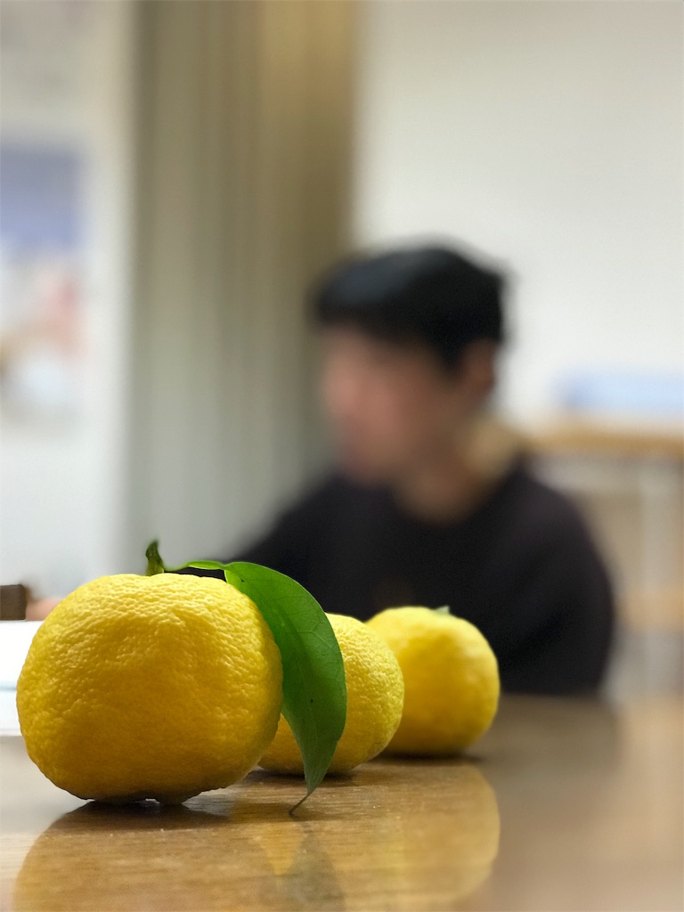 f:id:hatsuho44:20180219121542j:image