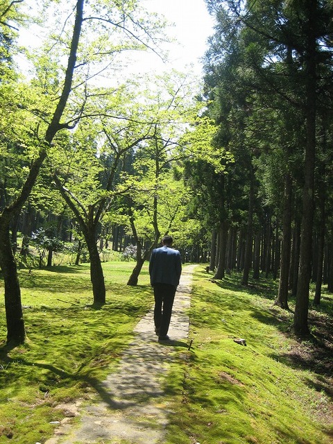 道