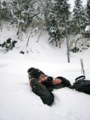 20080202153012