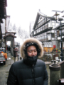 20080202153702