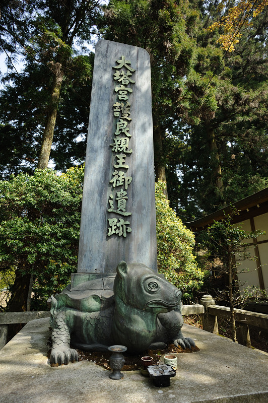 20100504101551