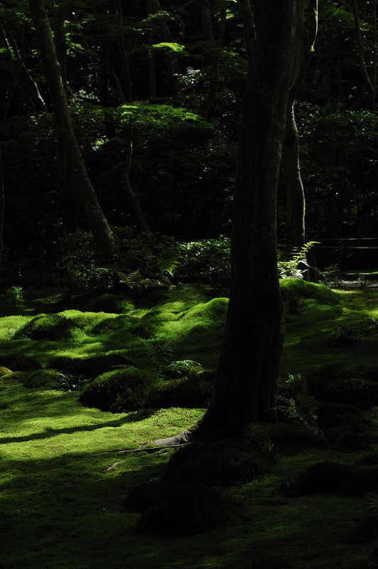 20100529142428