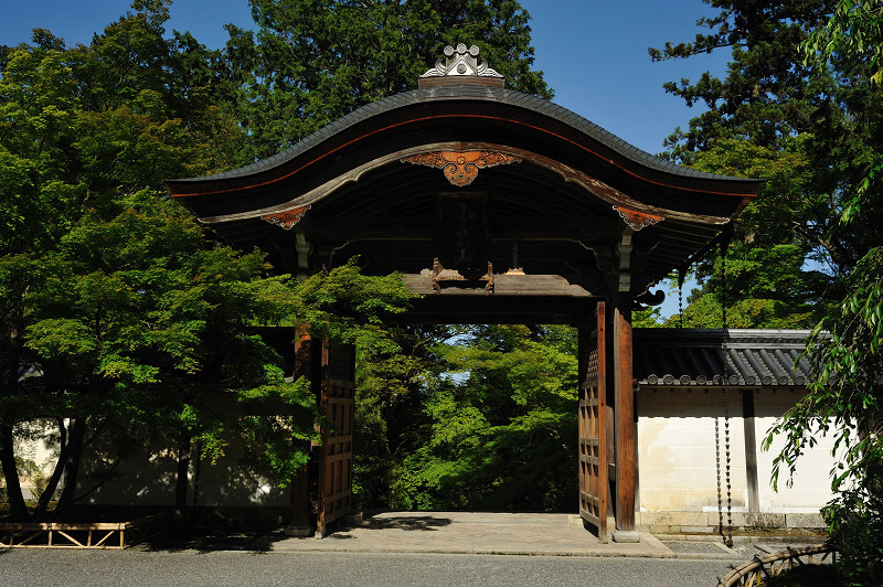 20100529153832