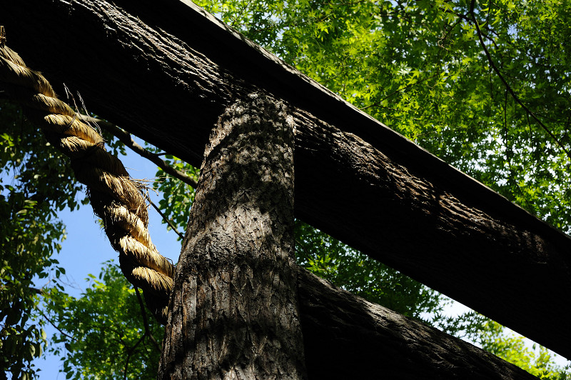 20100529160014