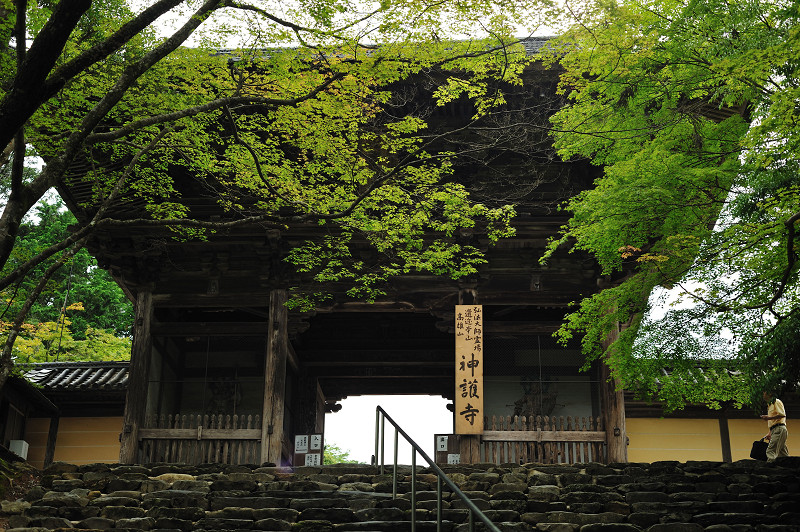 20110619155128