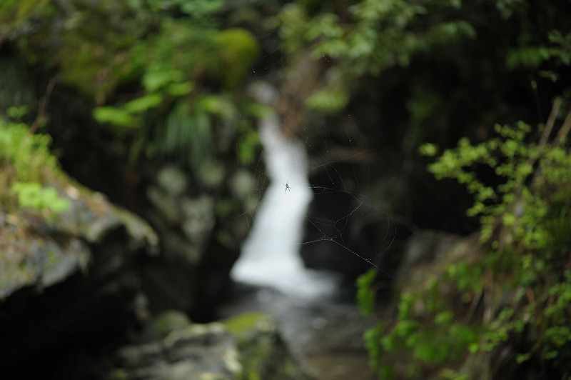 20110619174745
