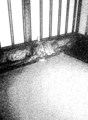 20111231144900