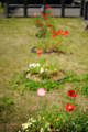 20120509123454
