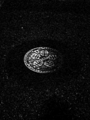 20121029230215