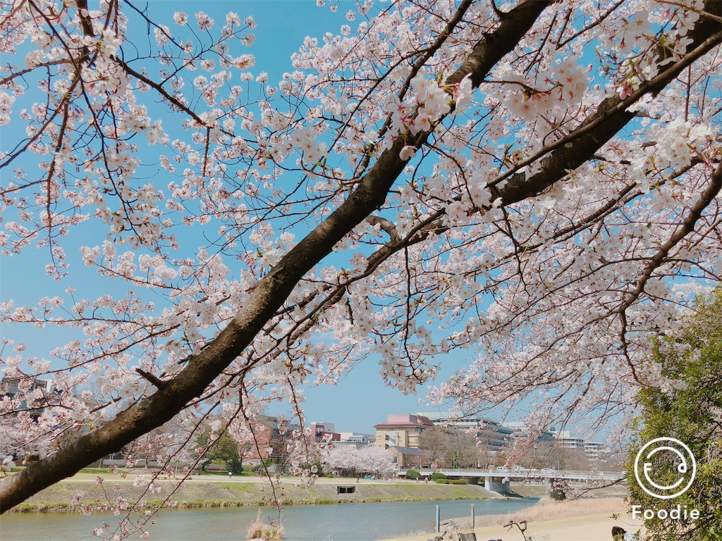 f:id:hattyakekokko:20180328154128j:image