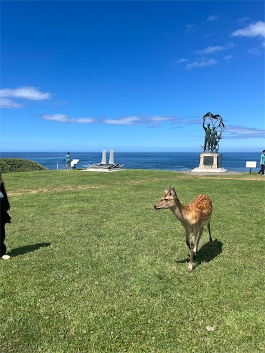 f:id:hattyakekokko:20260818162001j:image f:id:hattyakekokko:20260818162001j:image