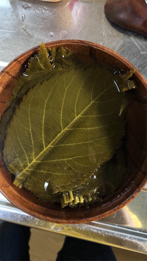 f:id:hatua:20190313235704j:image