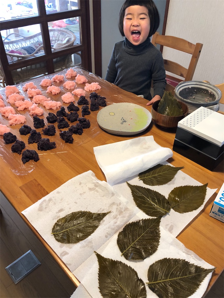 f:id:hatua:20190313235838j:image