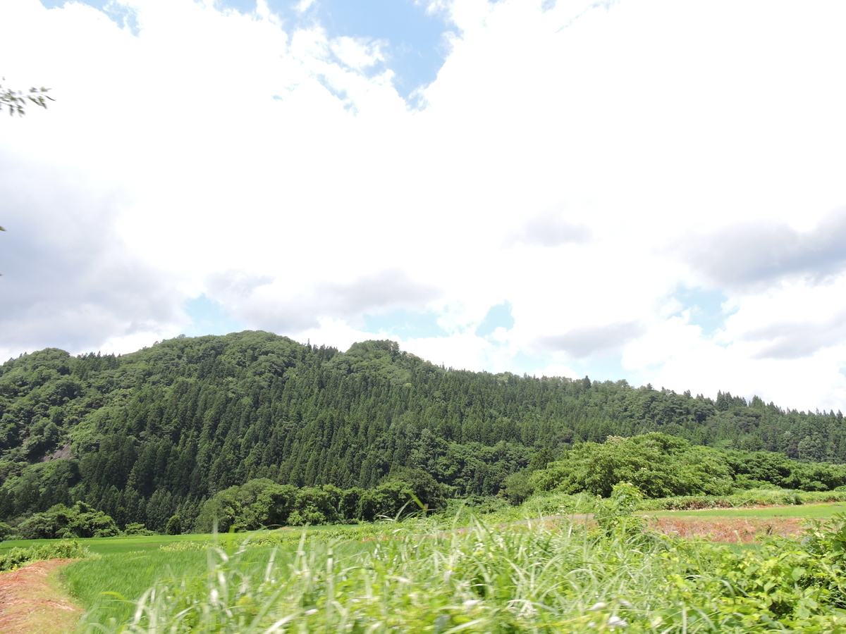 f:id:hatukari0583:20190730222324j:plain f:id:hatukari0583:20190730222324j:plain