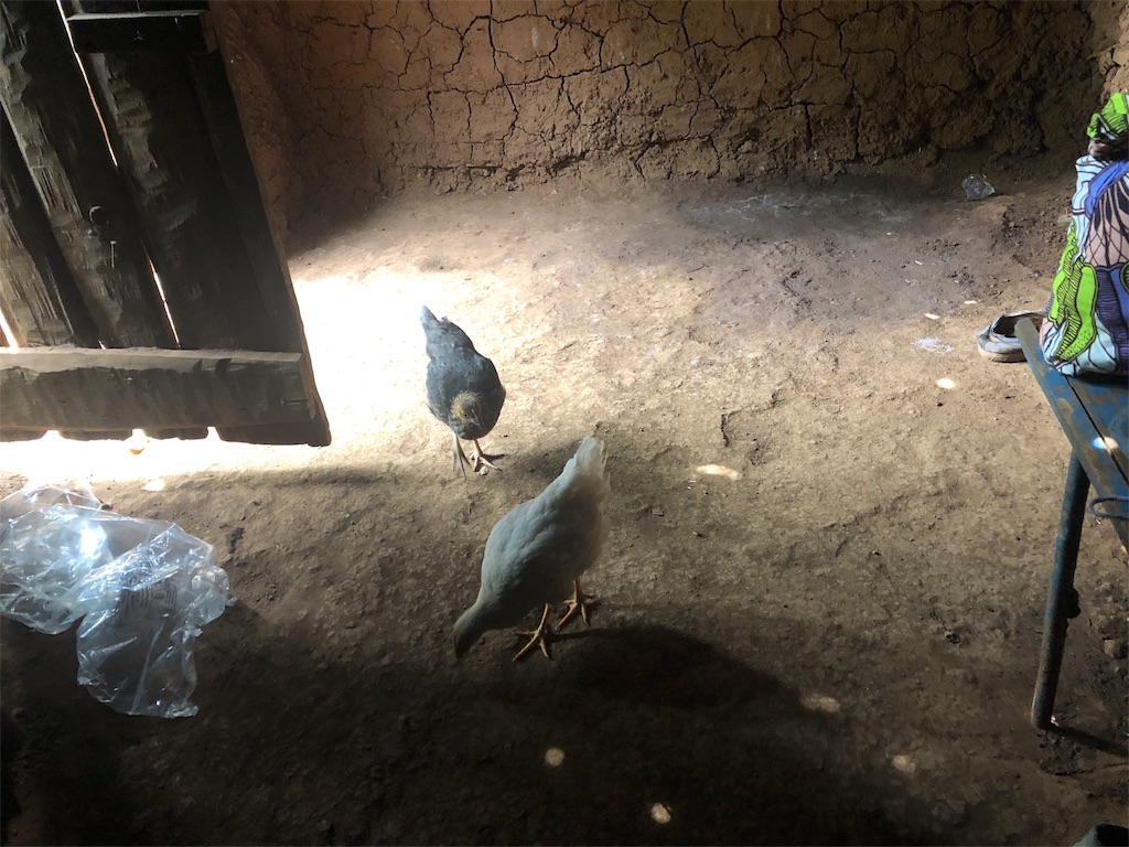 f:id:hatuseseri:20190828231503j:image